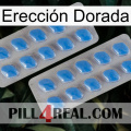 Erección Dorada 23